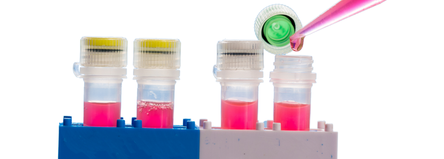 Tubes with pink liquid and pipette