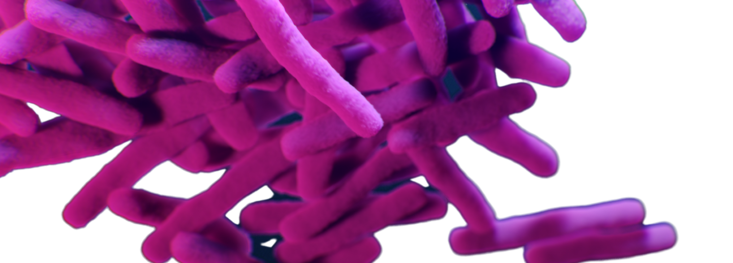 Purple bacterial rods